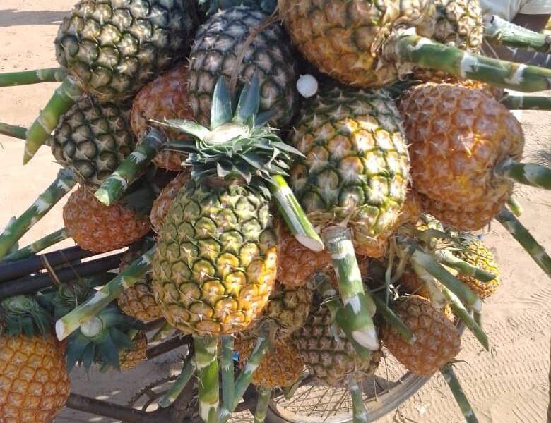 Ananas naturels de bonne qualité